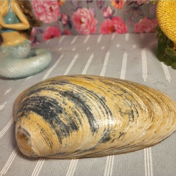 DECOUPAGE CLAM SHELL DECOUPAGE FLOWERS TRINKET DISH - Picture 7 of 7